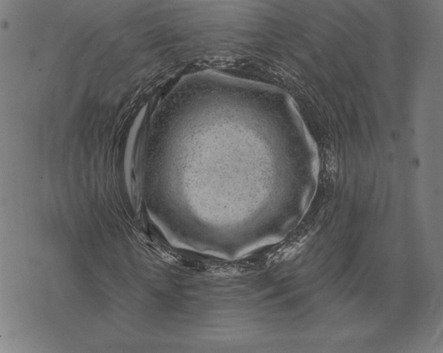 X0000074040818200609111737