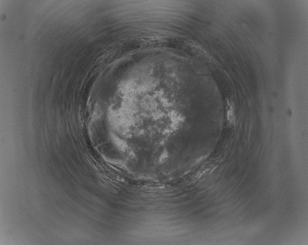 X0000074040819200609111737