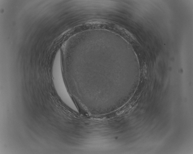 X0000074040821200609111737