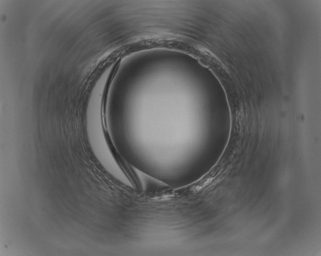 X0000074040822200609111737