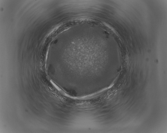 X0000074040823200609111737