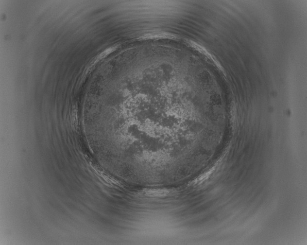 X0000074040825200609111737