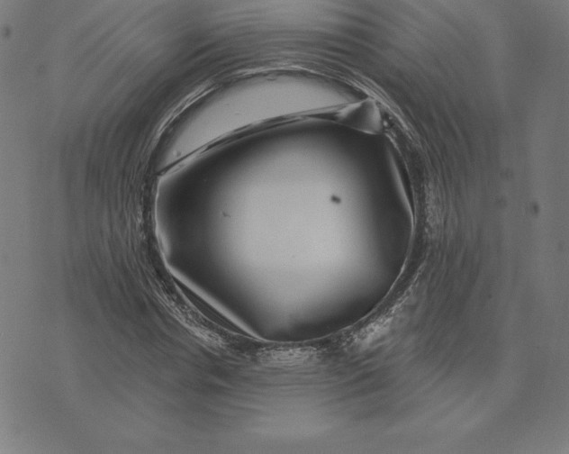 X0000074040826200609111737