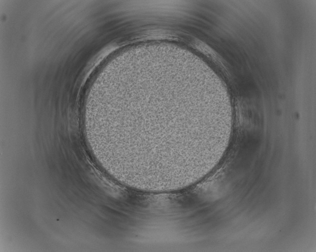 X0000074040828200609111737