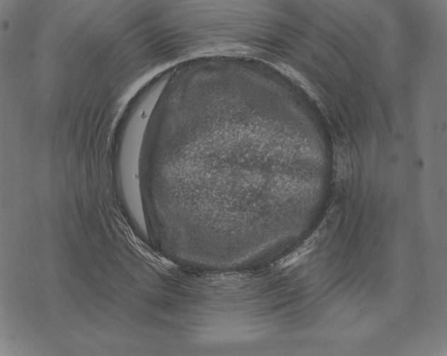 X0000074040830200609111737