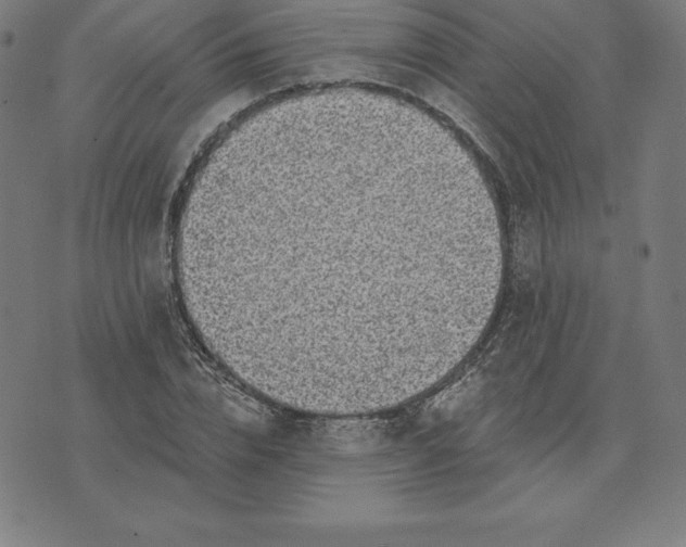 X0000074040832200609111737