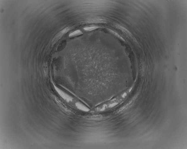 X0000074040833200609111737