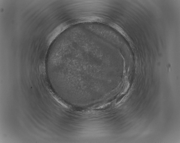 X0000074040834200609111737