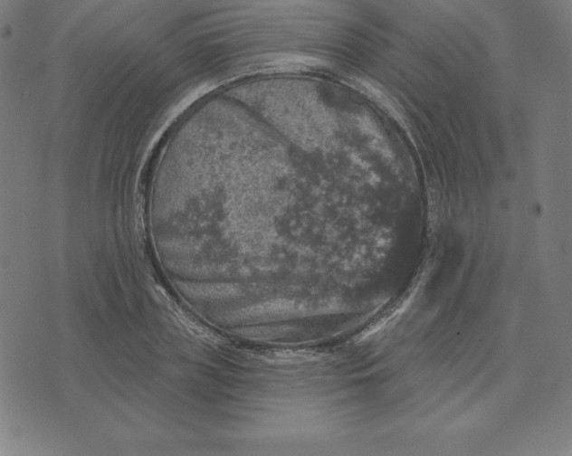 X0000074040835200609111737