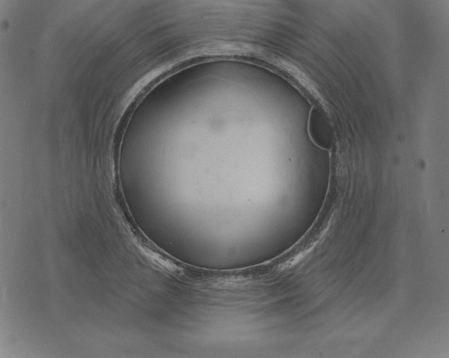 X0000074040837200609111737