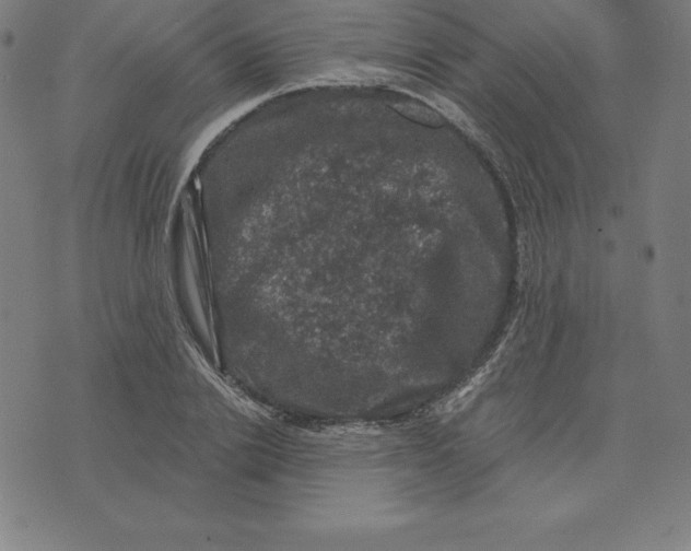 X0000074040838200609111737