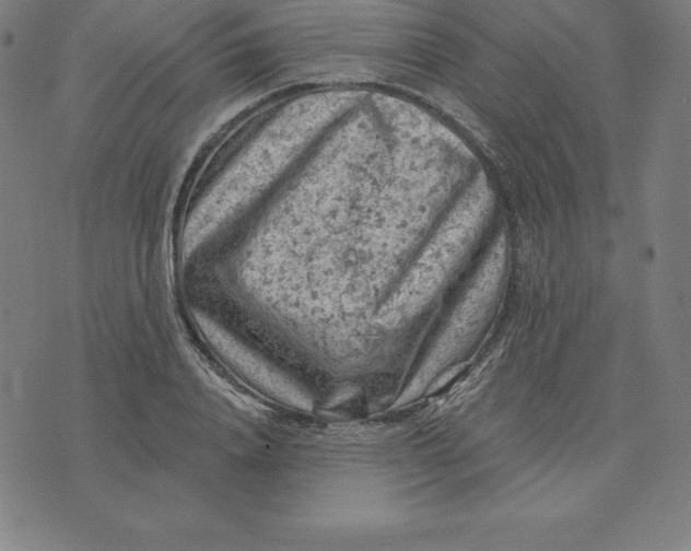 X0000074040840200609111737