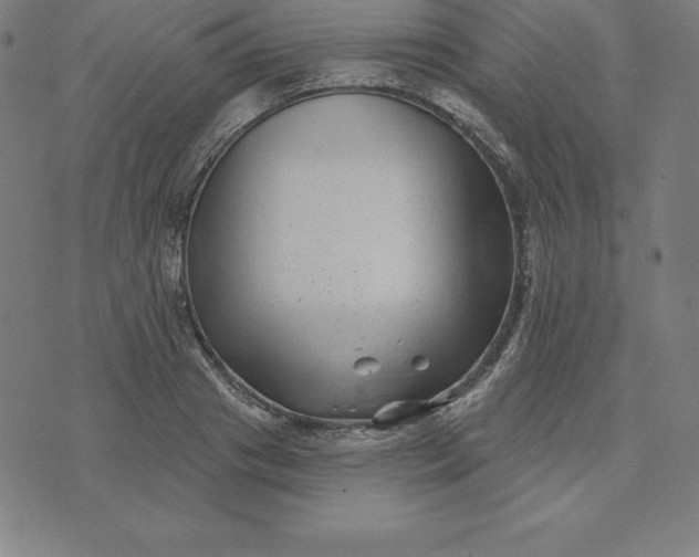 X0000074040841200609111737