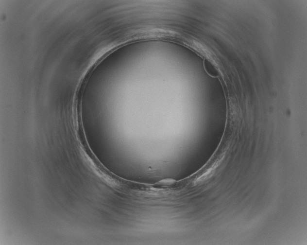 X0000074040843200609111737