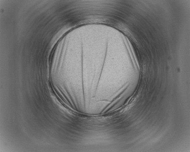 X0000074040844200609111737