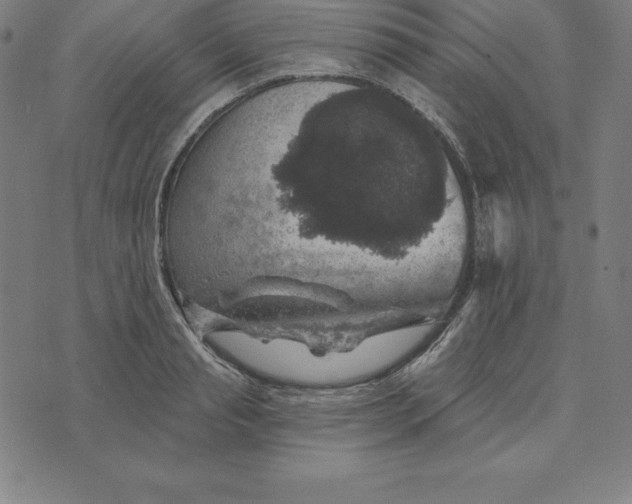 X0000074040845200609111737