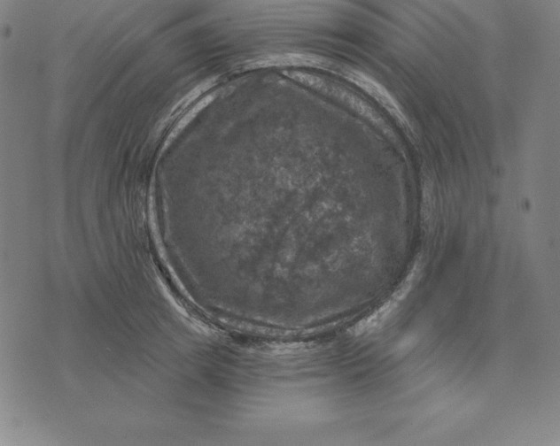 X0000074040849200609111737