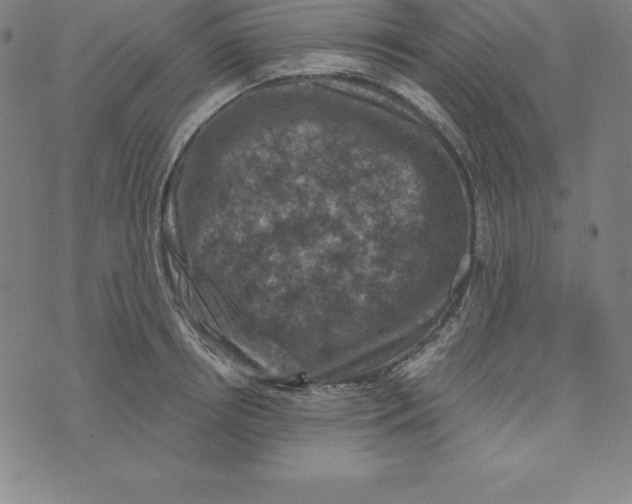 X0000074040850200609111737