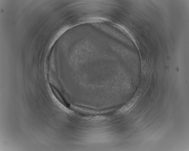 X0000074040851200609111737