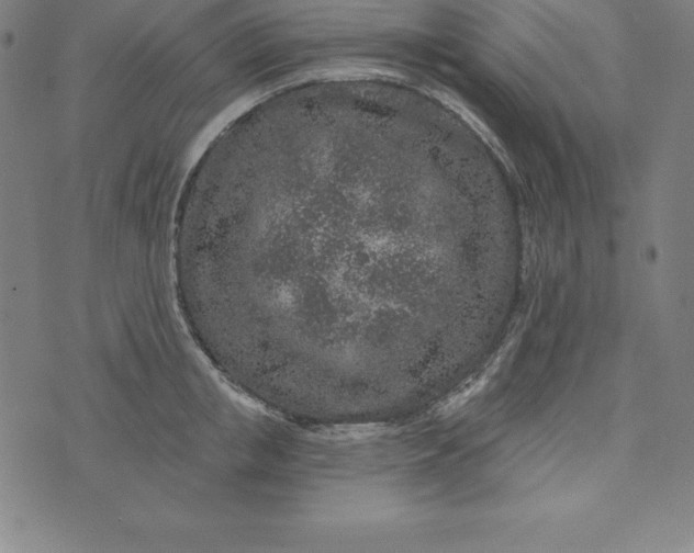 X0000074040853200609111737