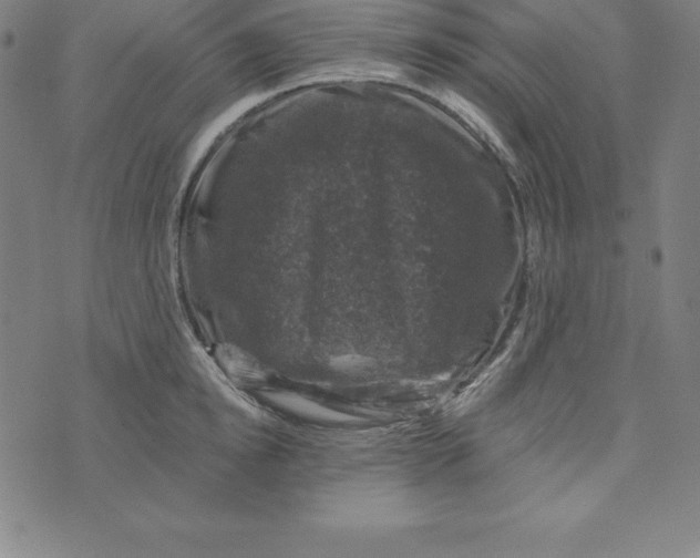 X0000074040854200609111737