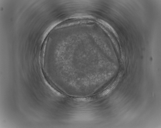 X0000074040855200609111737