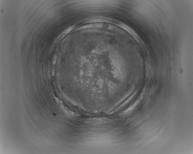 X0000074040857200609111737