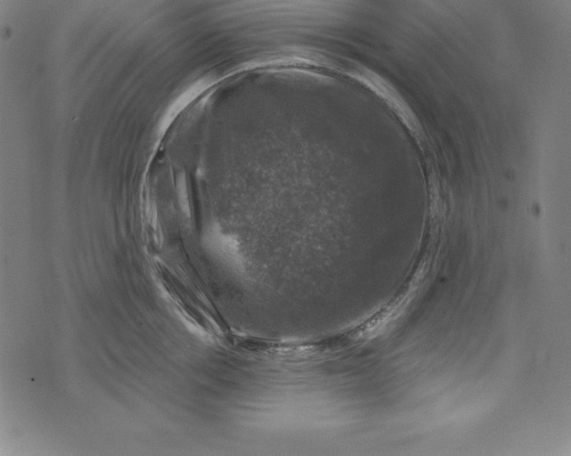 X0000074040858200609111737