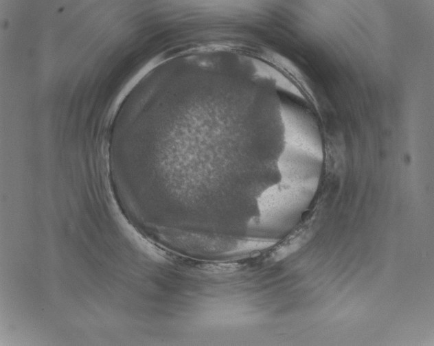 X0000074040859200609111737