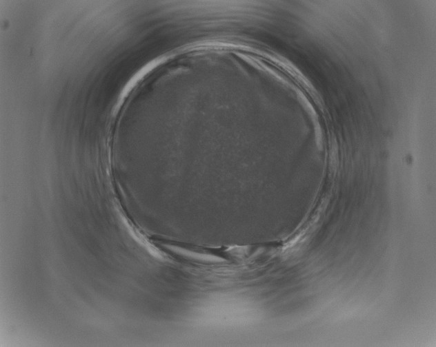 X0000074040862200609111737