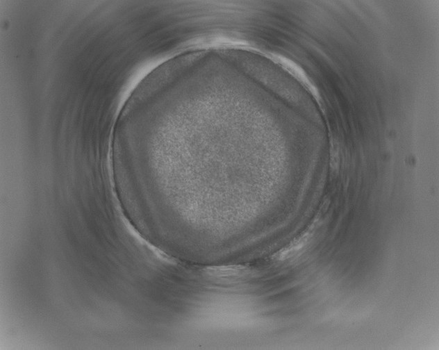 X0000074040863200609111737