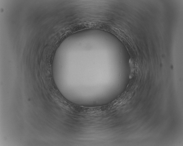 X0000074040865200609111737