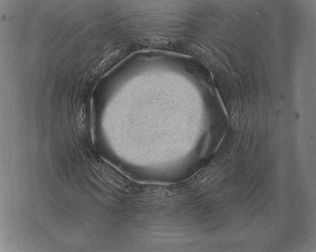 X0000074040866200609111736