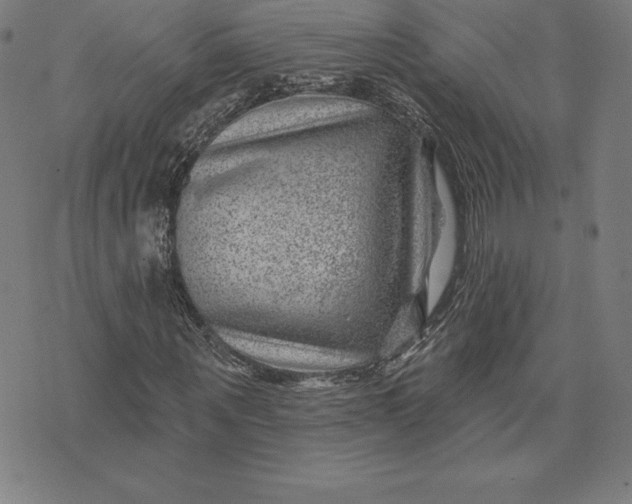 X0000074040867200609111736