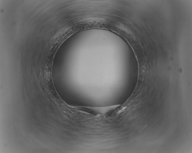 X0000074040869200609111736