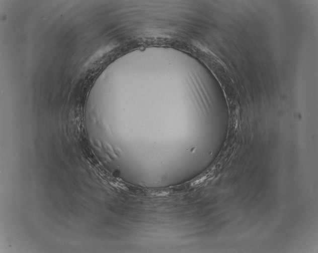 X0000074040870200609111736