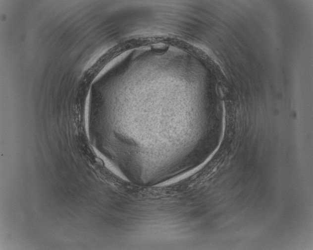 X0000074040871200609111736