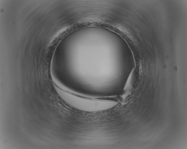 X0000074040872200609111736