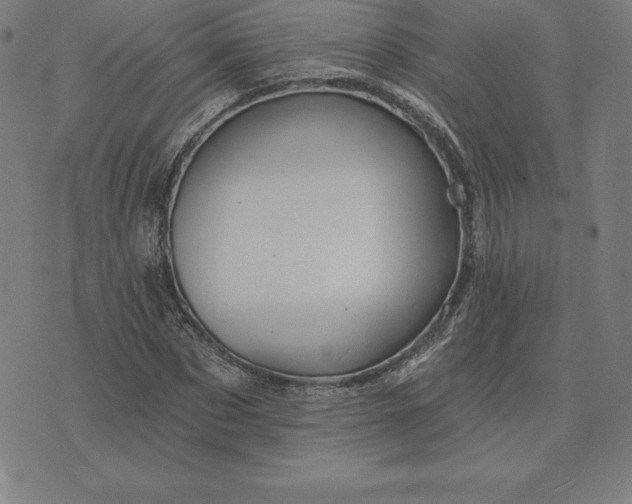 X0000074040873200609111736