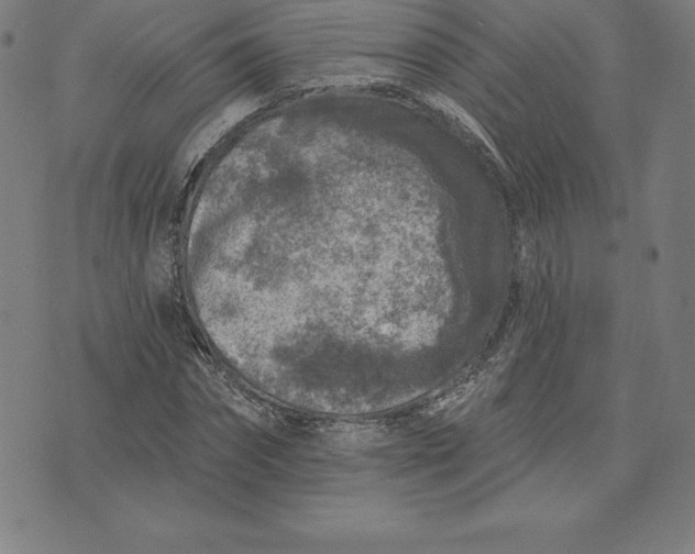 X0000074040874200609111736