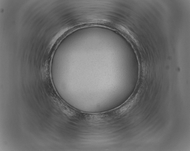 X0000074040875200609111736