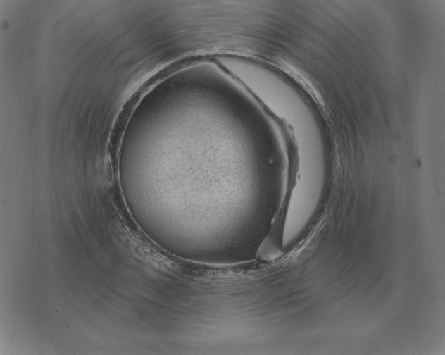 X0000074040876200609111736