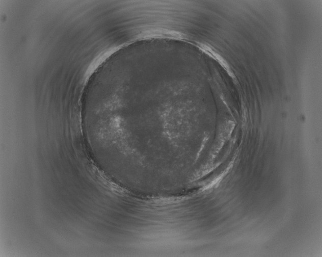 X0000074040877200609111736