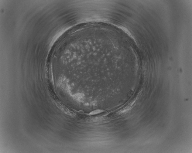 X0000074040879200609111736