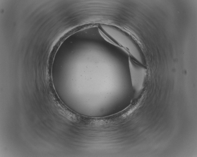 X0000074040880200609111736