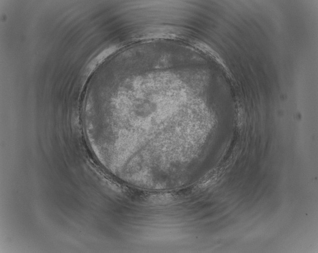 X0000074040882200609111736