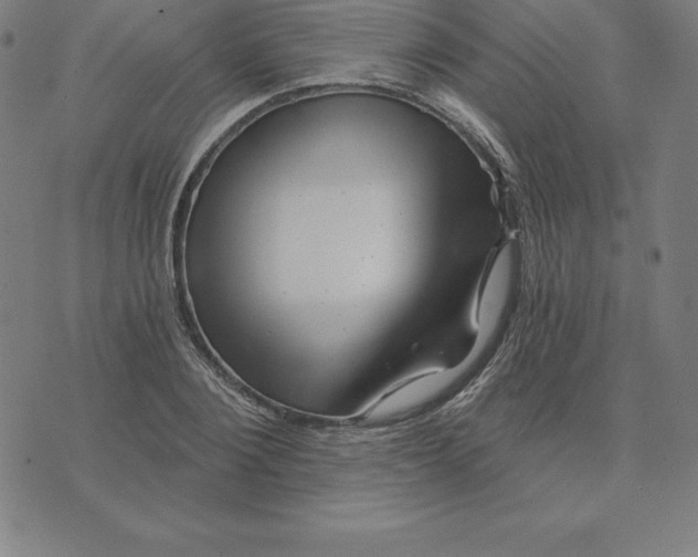 X0000074040884200609111736