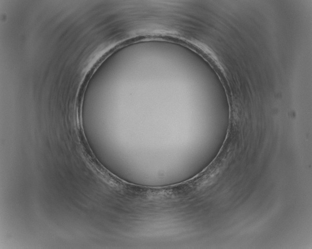 X0000074040887200609111736