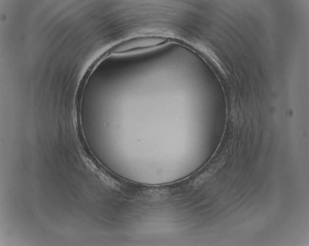 X0000074040888200609111736