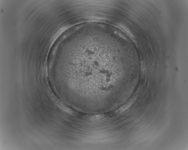 X0000074040891200609111736